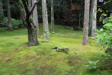 五台山竹林寺参道01