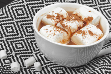 Hot chocolate with marshmallows on the table