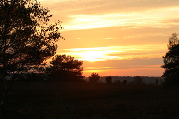 Fototapeta na wymiar Orange-goldener Sonnenuntergang in der Lüneburger Heide