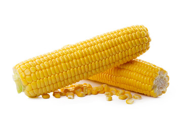 Corn on a white background