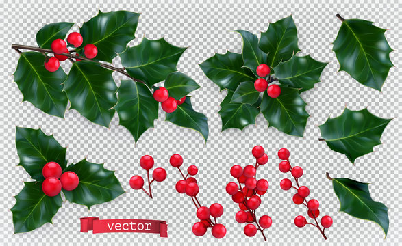 Christmas decorations. Holly, red berries. 3d realistic vector icon set