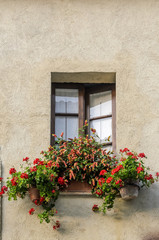 Window with curtains in the house with flowers on the windowsill
