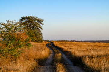 Dirt road in the steppe grass in the colors of the dawn sun