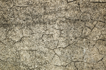mildewed wall background
