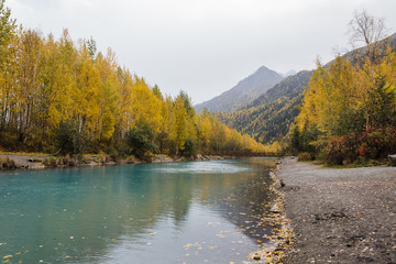 Fototapeta premium autumn colors and blue glacial river in the Alaskan mountains