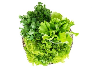 Green vegetables on white background