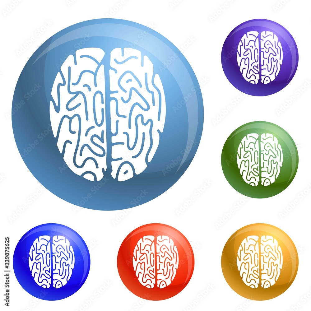 Aufkleber top view brain icons set vector 6 color isolated on white background