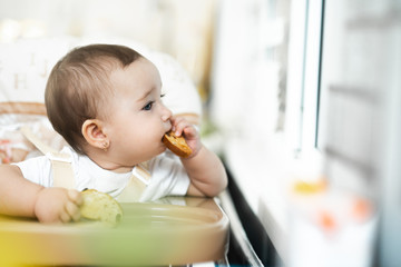 Baby girl eating cracker with raisins in a chair