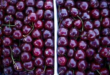 boxes with fresh red cherries, counter of the seller of fruit and vegetables, farmer's market