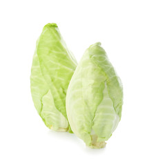 Fresh pointed cabbages on white background
