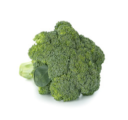 Fresh broccoli on white background