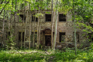 Abandoned house in the middle of a green forest