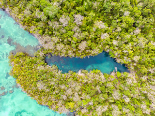 Aerial top down view tropical paradise pristine coast line rainforest blue lake at Bair Island. Indonesia Moluccas archipelago, Kei Islands, Banda Sea. Top travel destination, best diving snorkeling.