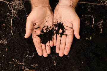 Male hands with black soil