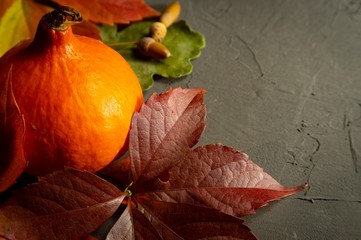 Autumn still life with leaves, pumpkin and nuts