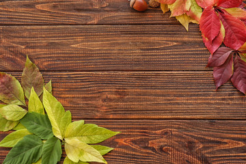 Beautiful autumn leaves on wooden table