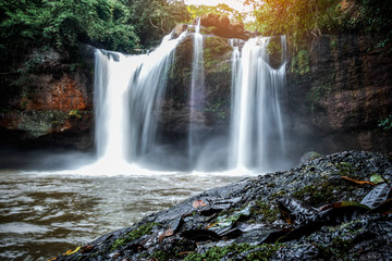 waterfall in forest