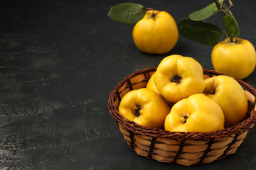 Ripe yellow quince fruit on dark background in a wicker basket, healthy lifestyle, nutrition Copy space