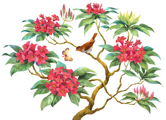 Flowering branch of rhododendron with bird and butterfly isolated on white