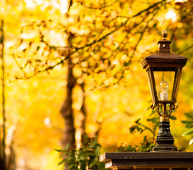 Fototapeta na wymiar lamp in the park