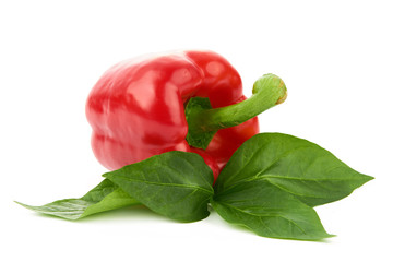 Papryka na białym tle