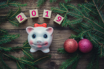 Tinted Christmas picture with 2019 and a pig