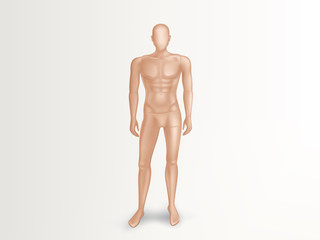 Vector 3d illustration of male mannequin, naked full body of man. Faceless human figure with muscles for sport training. Nude plastic dummy, fashion manikin for showcase of boutique, clothing store