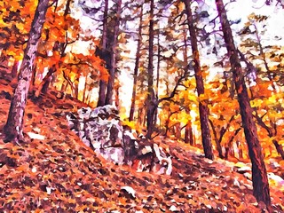 Hand drawing watercolor art on canvas. Artistic big print. Original modern painting. Acrylic dry brush background. Wonderful autumn Russian forest landscape. European resort Travel time. Trees on hill