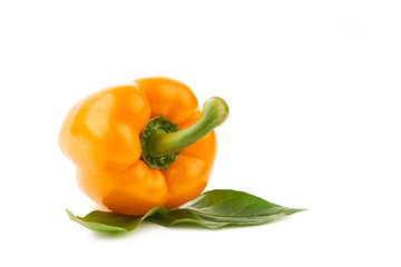 Papryka na białym tle © piotrszczepanek