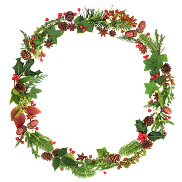 Winter and Christmas wreath garland with traditional natural flora and fauna of the season on white background.