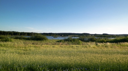 Landscape of meadow and pond in background.