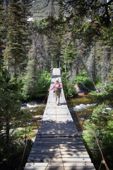 Hiker on a suspension bridge, glacier national park , montana, usa