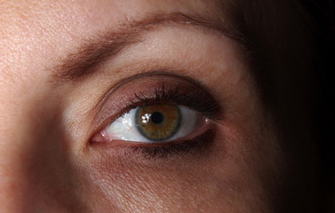 Closeup of the female eye