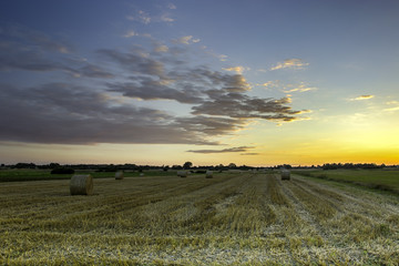 Field with hay after sunset
