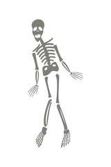 Drawing of a cute cartoon waving skeleton character. Great for Halloween or similar.