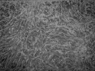 Carbon fiber abstract background.