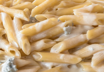 Penne pasta with gorgonzola sauce