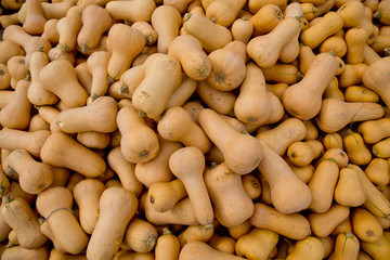 Fall yellow pumpkins background.