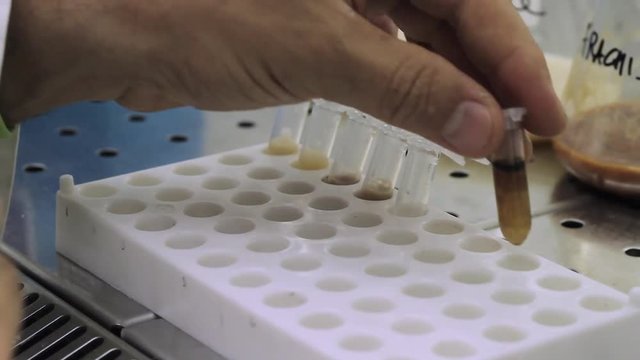 Microbiologia