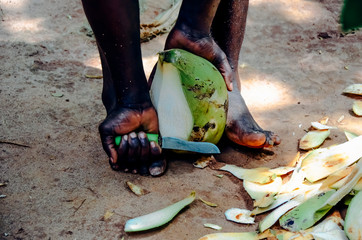 Young coconut cutting peel with knife