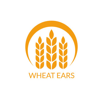 Wheat ears logo. Rye icon. Vector illustration.