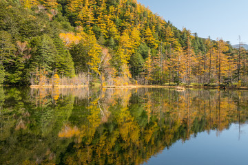 上高地・紅葉の明神池