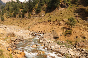 Small River Passing Through the rocks