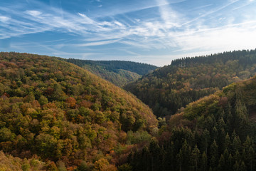Wald und Berge im Herbst