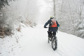 man riding with electric bicycle, e-bike, ebike, pedal on snowy road, during snow storm, blizzard, high mountain, forest, end of winter, spring, cold, alps, adventure, isolated, Piedmont, Italy