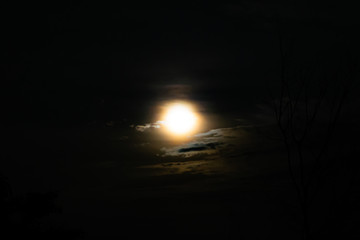 Al chiaro di luna
