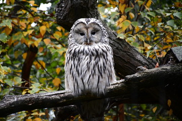 Zoo