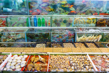 Seafood market fish tank in Sai kung Hong Kong
