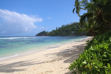 Beach Mahe`Seychells