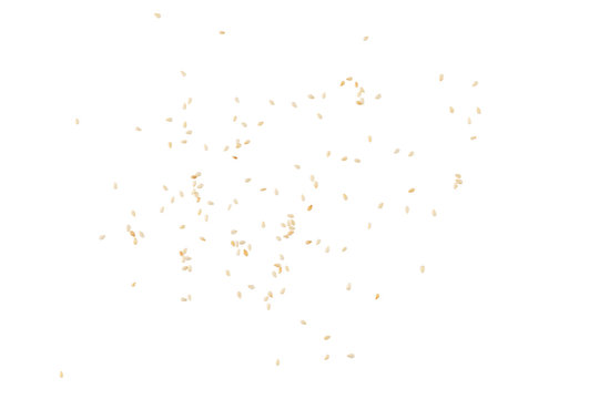 White sesame scattered on a white background.